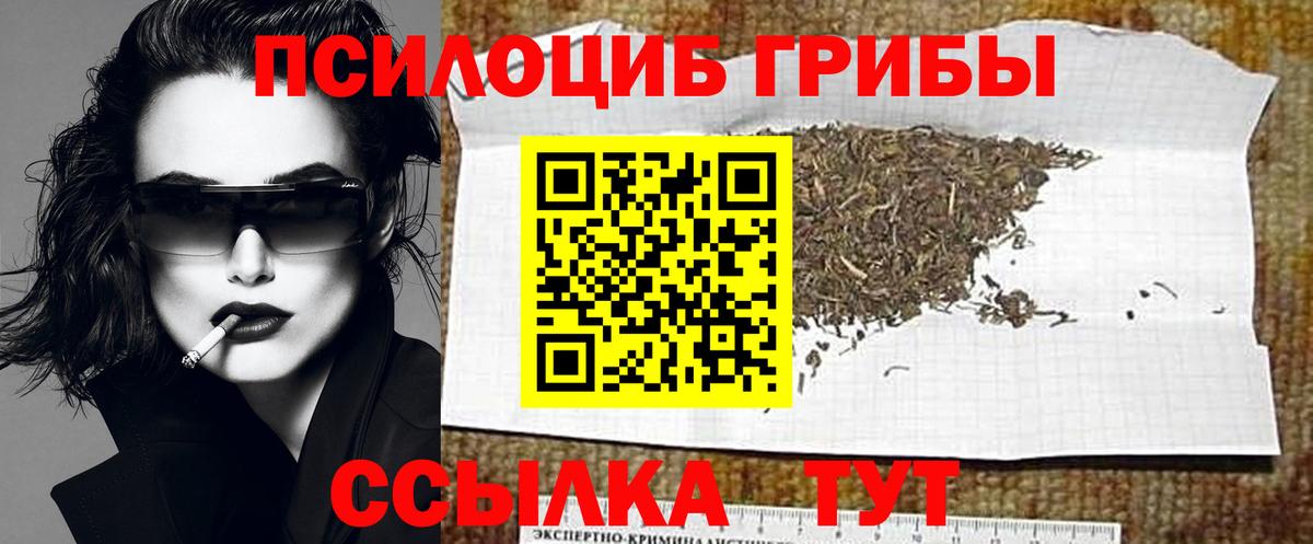 Псилоцибиновые грибы Psilocybine cubensis  Вход с VPN  Вышний Волочёк 