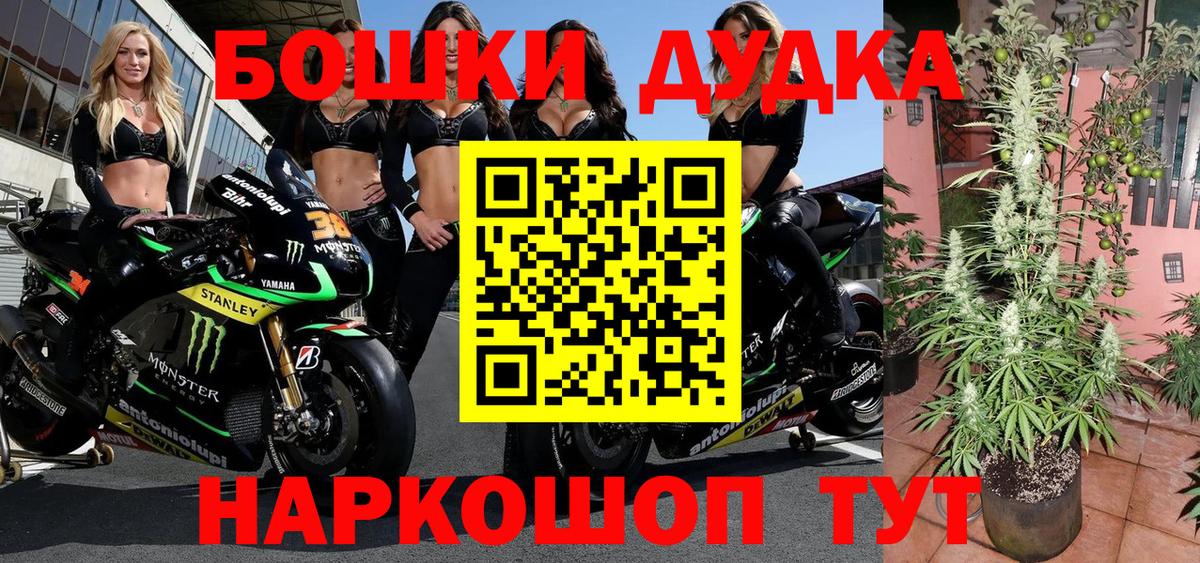 Бошки Шишки гибрид Вышний Волочёк